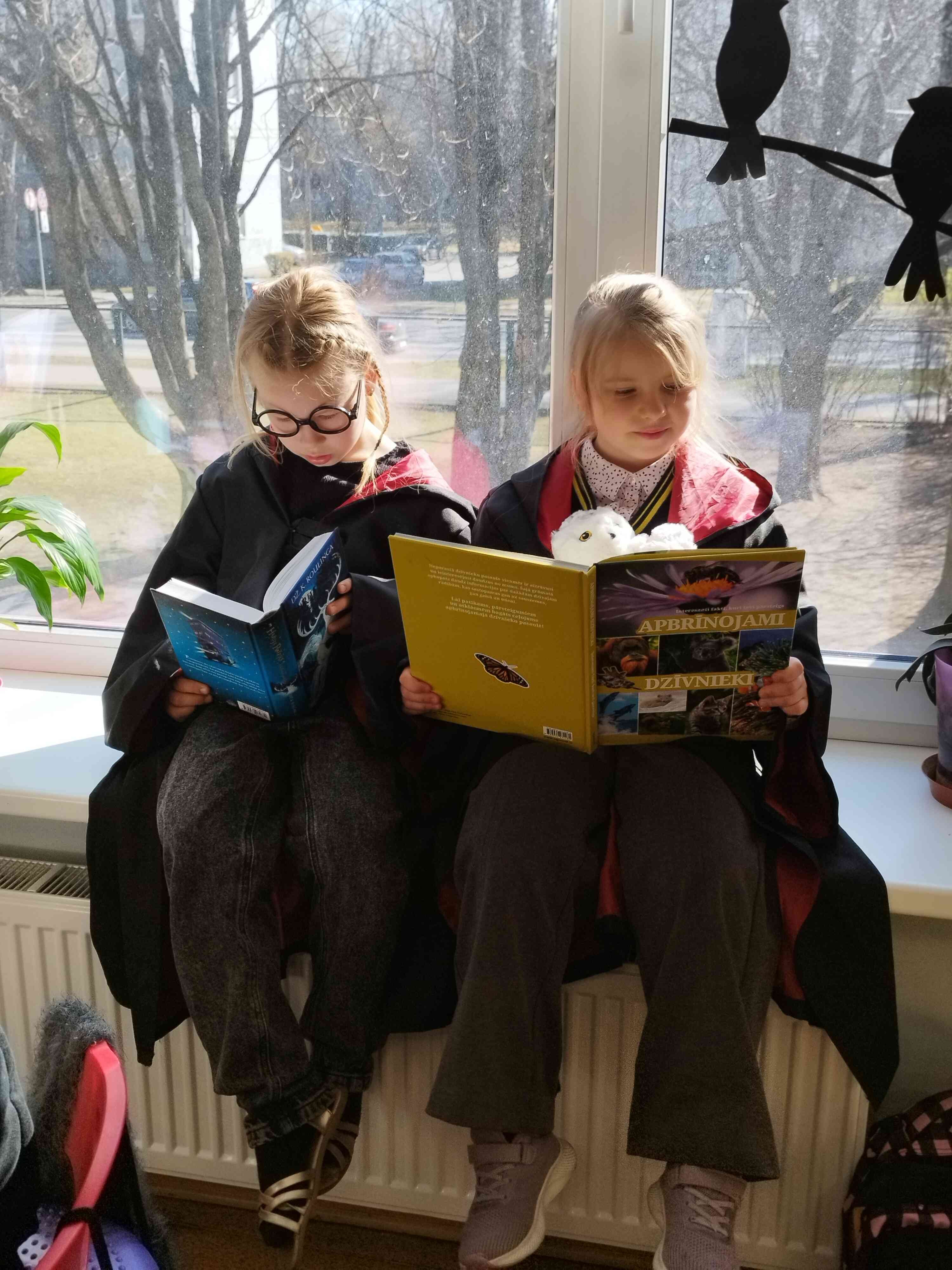 1776192152430 (1).jpg