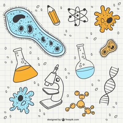 Biologija_03