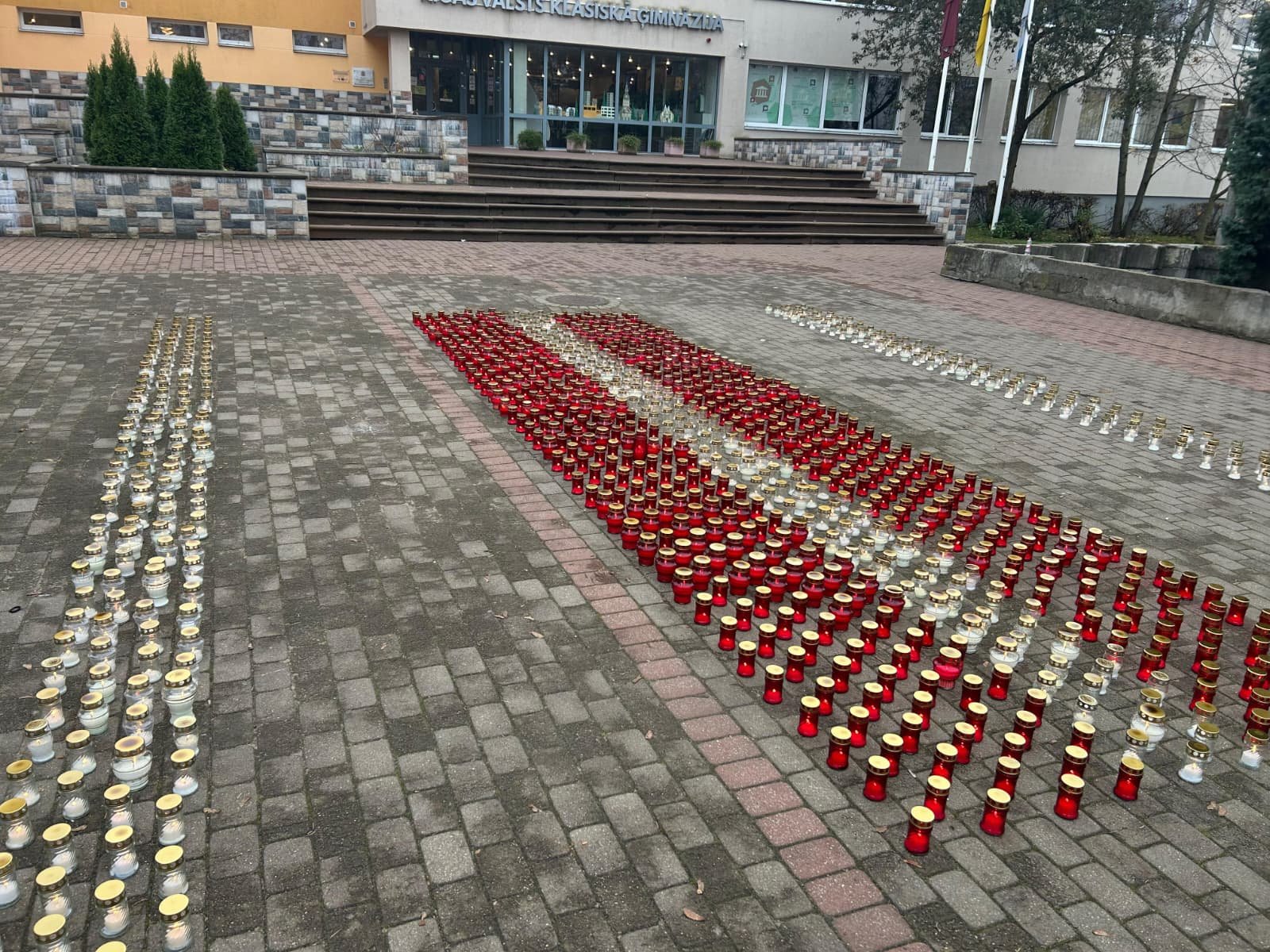 WhatsApp Image 2025-11-13 at 11.43.31.jpeg